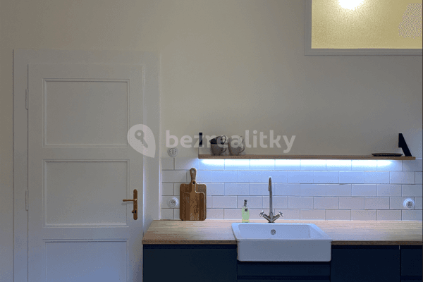 1 bedroom with open-plan kitchen flat to rent, 43 m², M. J. Lermontova, Praha