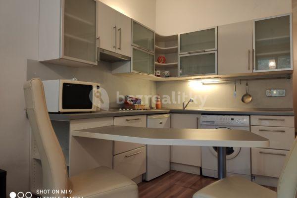 1 bedroom with open-plan kitchen flat to rent, 47 m², Pod Zvonařkou, Praha