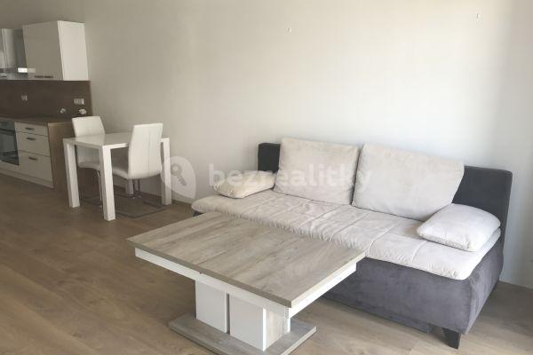 1 bedroom with open-plan kitchen flat to rent, 65 m², Nová, České Budějovice, Jihočeský Region