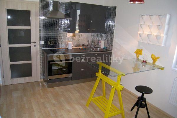 Studio flat to rent, 23 m², Praha