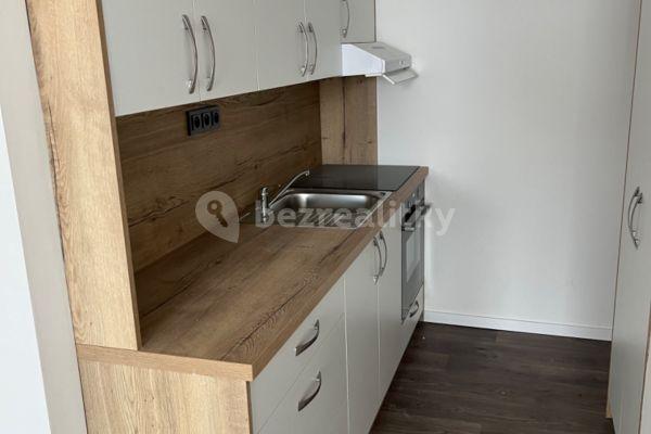 1 bedroom with open-plan kitchen flat to rent, 52 m², Plickova, Praha