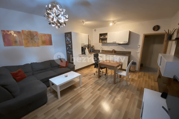 1 bedroom with open-plan kitchen flat to rent, 56 m², Oty Bubeníčka, Praha