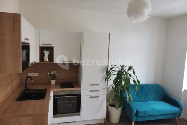 1 bedroom with open-plan kitchen flat to rent, 40 m², Svatoplukova, Brno