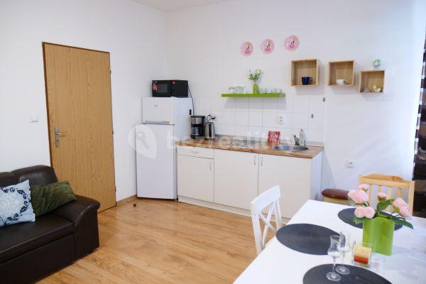 1 bedroom flat to rent, 47 m², Ruská, Teplice, Ústecký Region