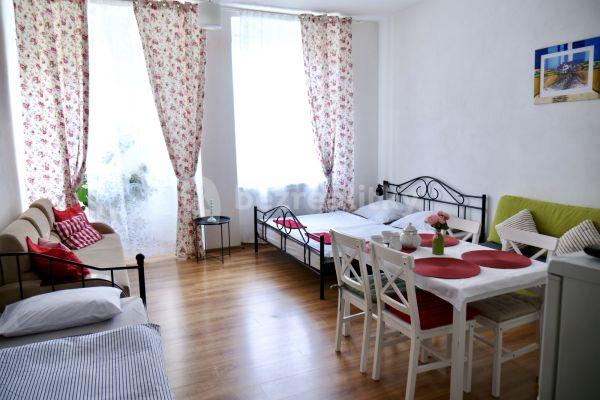 Studio flat to rent, 55 m², Ruská, Teplice, Ústecký Region