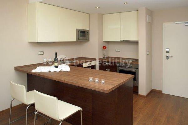 1 bedroom with open-plan kitchen flat to rent, 52 m², U Borského parku, Plzeň, Plzeňský Region