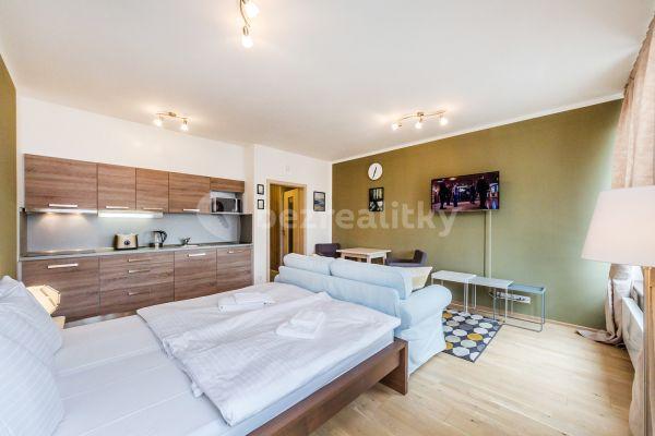 Studio flat to rent, 30 m², V Háji, Praha