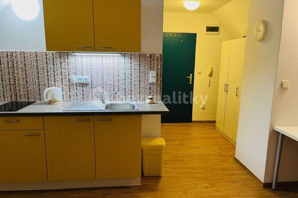 Studio flat to rent, 32 m², Červený kopec A, Brno