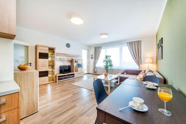 1 bedroom with open-plan kitchen flat to rent, 65 m², Švehlova, Praha