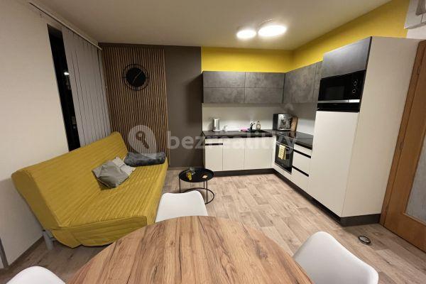 1 bedroom flat to rent, 35 m², Křížkovského, Brno