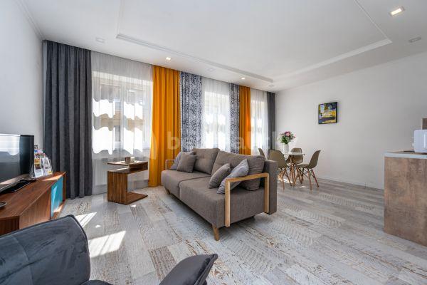 1 bedroom with open-plan kitchen flat to rent, 60 m², Mečislavova, Praha