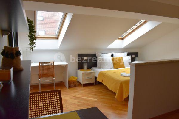 1 bedroom flat to rent, 60 m², Staropramenná, Praha