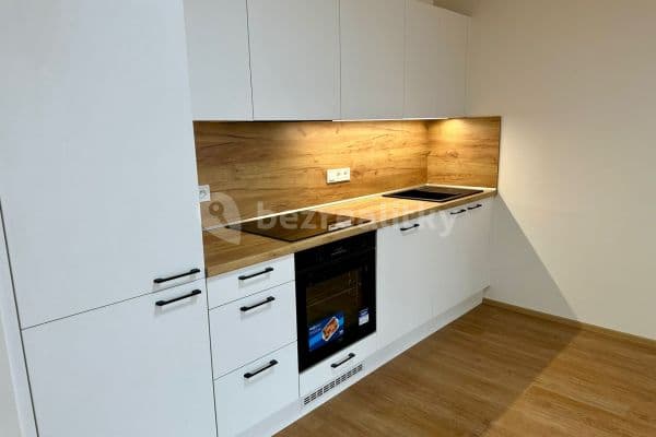 1 bedroom with open-plan kitchen flat to rent, 50 m², Zengrova, Kolín