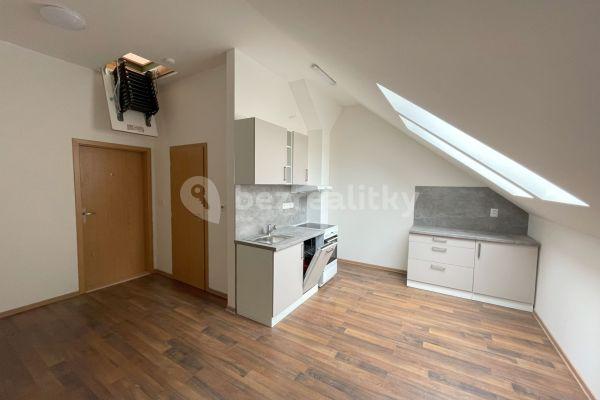1 bedroom with open-plan kitchen flat to rent, 40 m², Čsl. legií, Třebechovice pod Orebem
