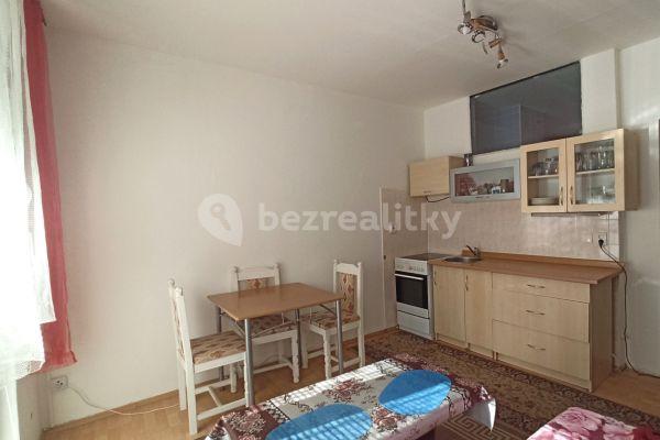 1 bedroom with open-plan kitchen flat for sale, 50 m², Partyzánská, 