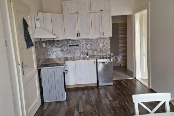 1 bedroom with open-plan kitchen flat for sale, 45 m², Alejní, Teplice