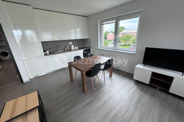 1 bedroom with open-plan kitchen flat to rent, 56 m², gen. Píky, Olomouc