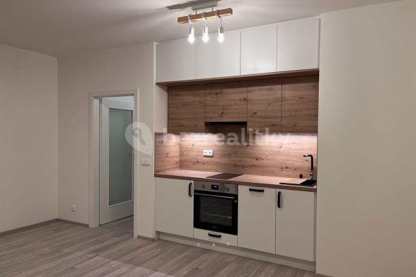 Studio flat to rent, 30 m², Heřmanická, Praha