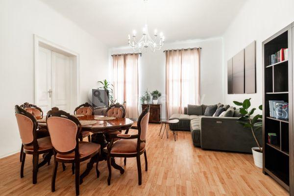 1 bedroom with open-plan kitchen flat to rent, 80 m², Vlhká, Brno