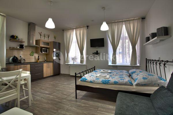 Studio flat to rent, 20 m², Lesní, Mariánské Lázně