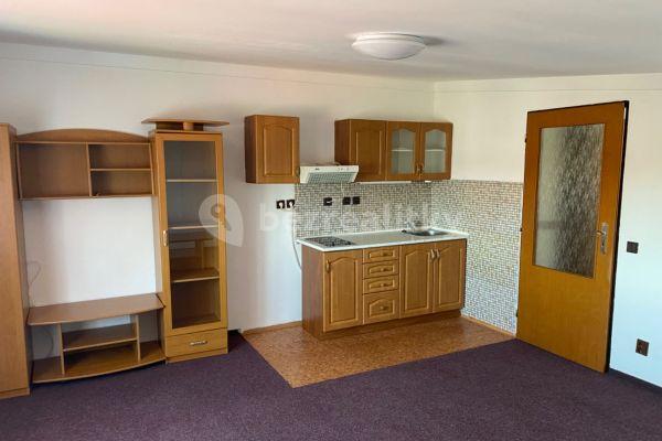 1 bedroom with open-plan kitchen flat to rent, 64 m², Hornická, Jinočany