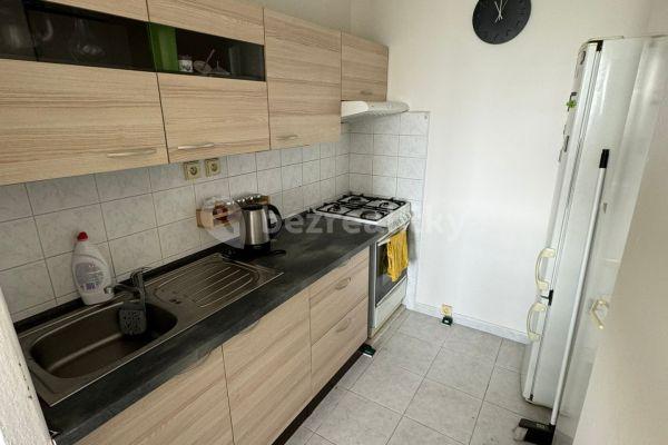 1 bedroom with open-plan kitchen flat to rent, 43 m², Štichova, Hlavní město Praha