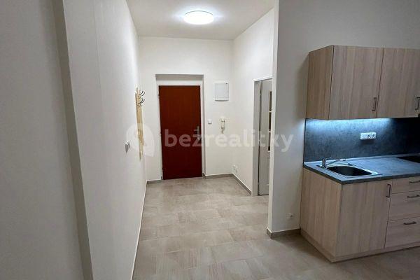 1 bedroom with open-plan kitchen flat to rent, 49 m², Drahobejlova, Praha