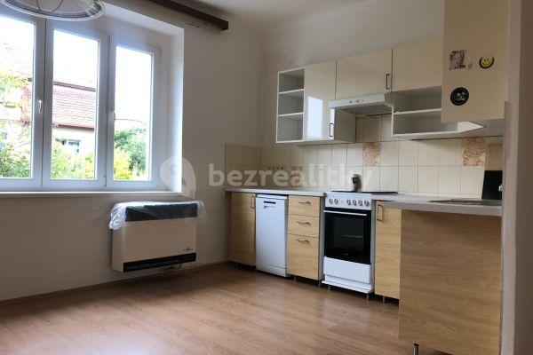 1 bedroom with open-plan kitchen flat to rent, 60 m², Nad Cihelnou, Hlavní město Praha
