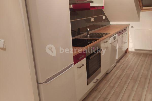 1 bedroom with open-plan kitchen flat to rent, 55 m², V Násypu, Praha