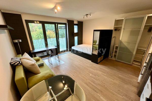 Studio flat to rent, 36 m², Praha