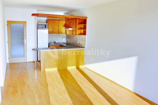 1 bedroom with open-plan kitchen flat to rent, 58 m², Zlonická, Praha