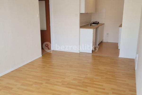 1 bedroom with open-plan kitchen flat to rent, 42 m², Pšenčíkova, Praha