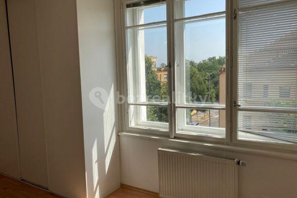 1 bedroom with open-plan kitchen flat to rent, 56 m², U Kněžské louky, Hlavní město Praha