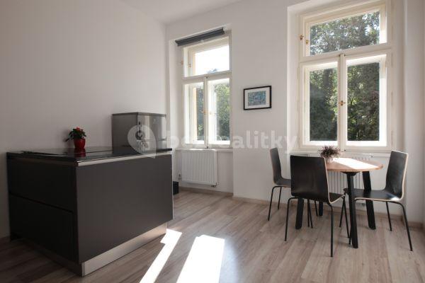 1 bedroom with open-plan kitchen flat to rent, 36 m², Plzeňská, Praha