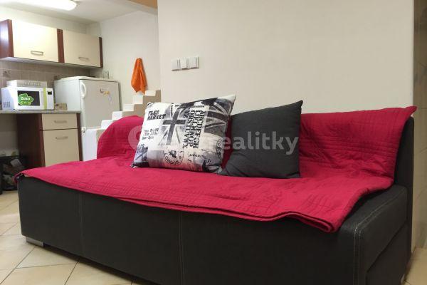 Studio flat to rent, 23 m², Skácelova, Brno