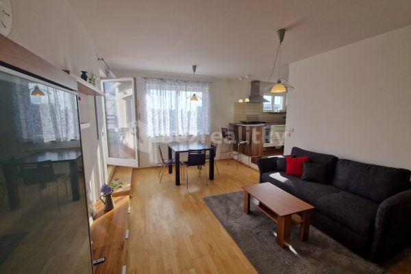 1 bedroom with open-plan kitchen flat to rent, 60 m², U Průhonu, Praha