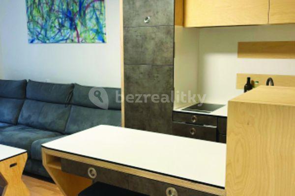 1 bedroom with open-plan kitchen flat to rent, 35 m², Tyršova, Praha