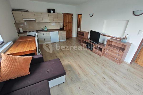 1 bedroom with open-plan kitchen flat to rent, 50 m², Rájecká, Praha