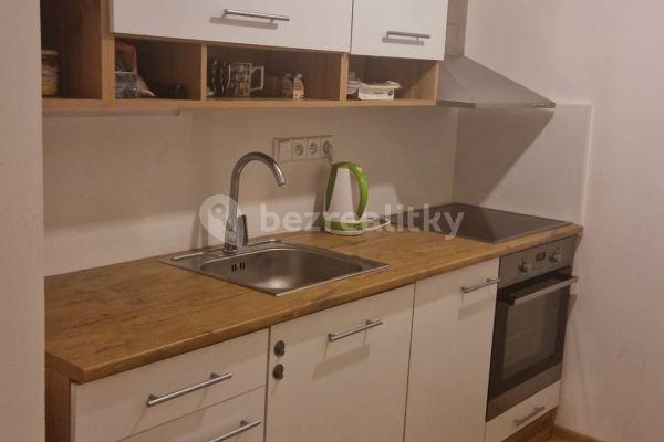 1 bedroom with open-plan kitchen flat to rent, 37 m², Skuteckého, Praha