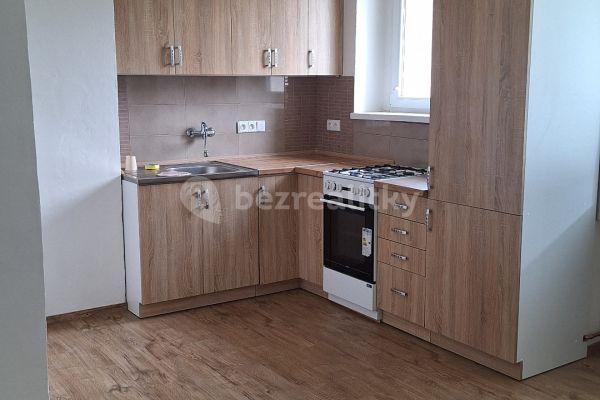 1 bedroom with open-plan kitchen flat to rent, 47 m², Kpt. Jaroše, Beroun