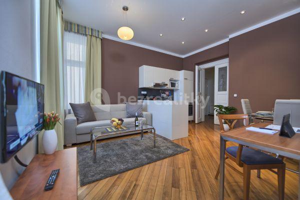 Studio flat to rent, 46 m², Masná, Praha