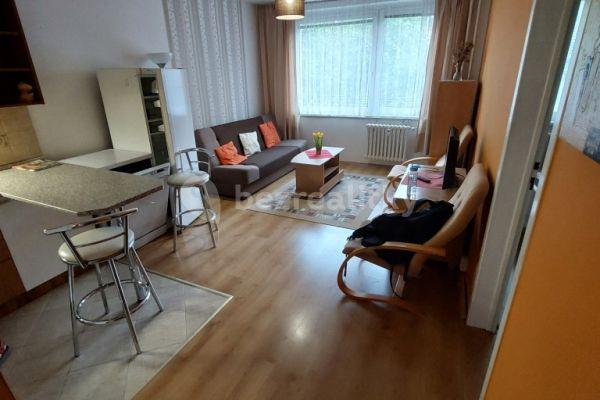 1 bedroom with open-plan kitchen flat to rent, 42 m², Platónova, Praha