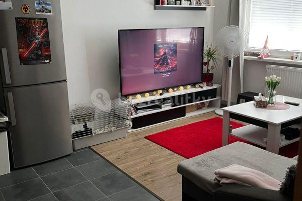 1 bedroom with open-plan kitchen flat to rent, 50 m², Klapálkova, Praha