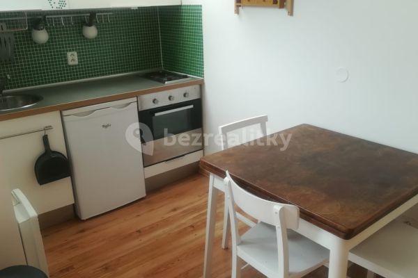 1 bedroom with open-plan kitchen flat to rent, 49 m², Soudní, Brno