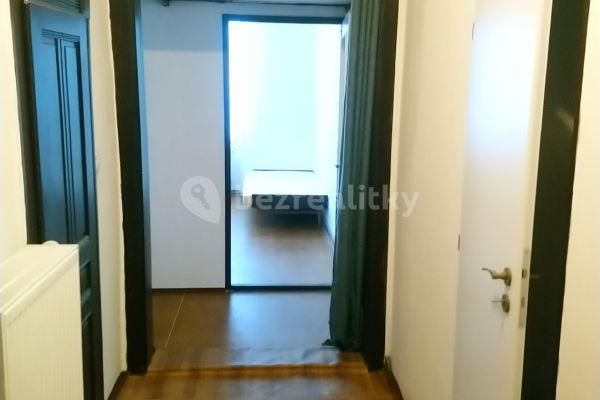 1 bedroom with open-plan kitchen flat to rent, 52 m², Na Plzeňce, Praha