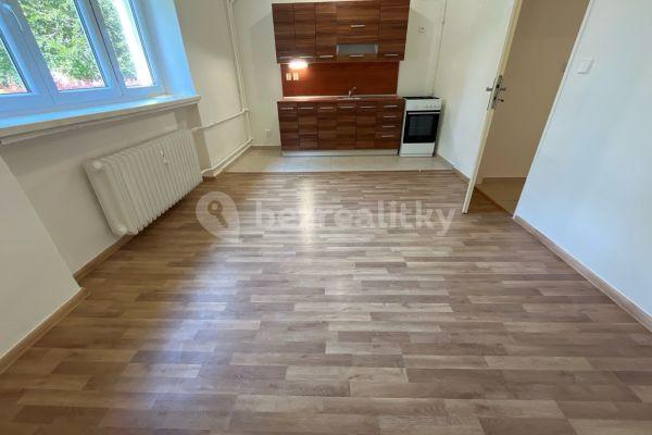 1 bedroom with open-plan kitchen flat to rent, 32 m², Lípová, 