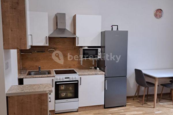 1 bedroom with open-plan kitchen flat to rent, 43 m², Legerova, Hlavní město Praha