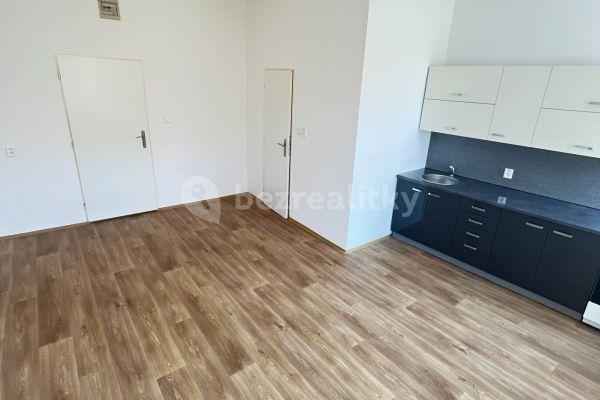 Studio flat to rent, 26 m², Cihelní, Ostrava