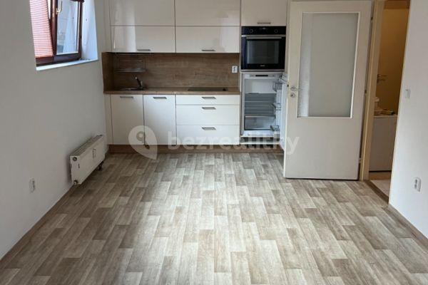 1 bedroom with open-plan kitchen flat to rent, 43 m², Zimní, Hostivice