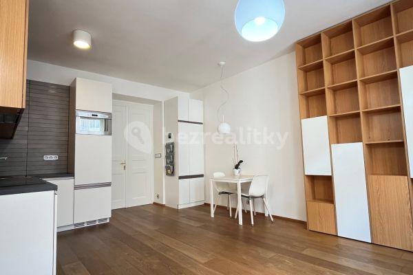 1 bedroom with open-plan kitchen flat to rent, 51 m², Haškova, Praha
